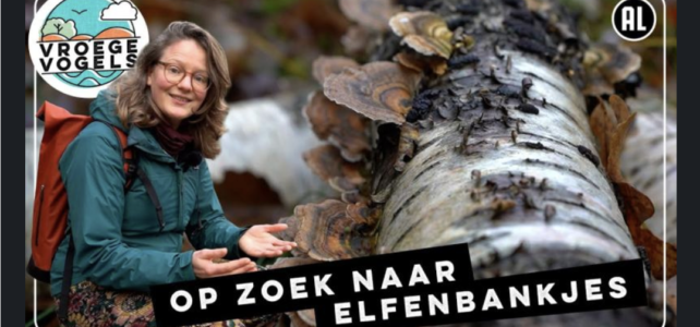 Op zoek naar elfenbankjes met ExpeditieWinter 10